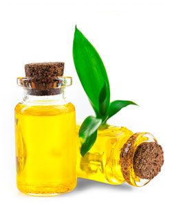 amazing caves coverimage